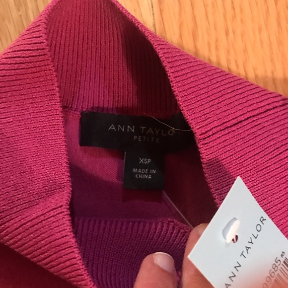 NWT Ann Taylor Top size XSP - Picture 3 of 3